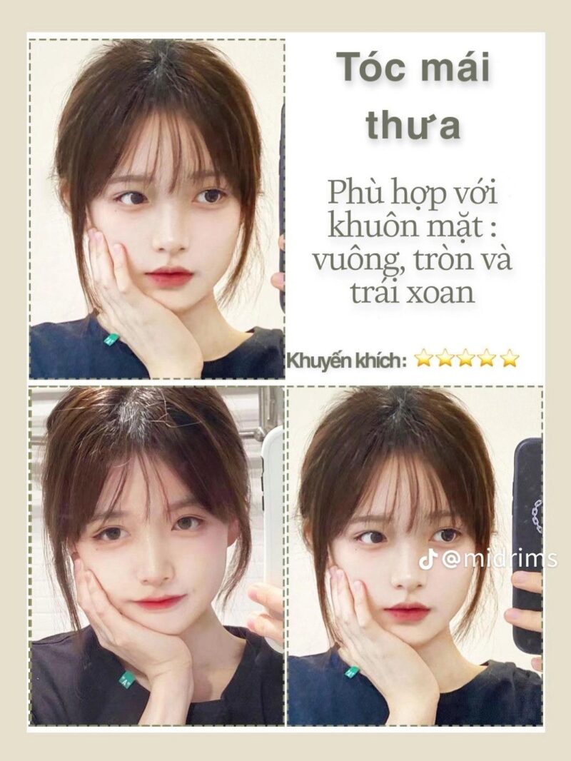 Thiết Kế Cắt Mái